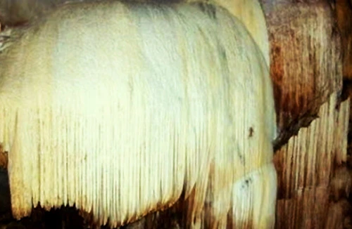  Hang Chi Đảy - “căn phòng” của tiên nữ