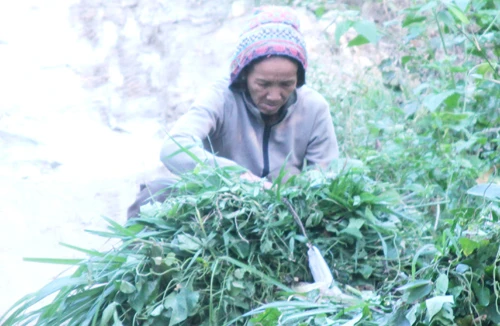 Lòng bao dung của người mẹ mất con sau thảm án giết người chấn động dư luận