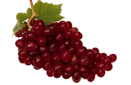 Tác dụng tuyệt vời của nho