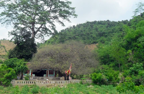 Ngôi chùa có "bảo bối" thanh trừng thói hư, tật xấu