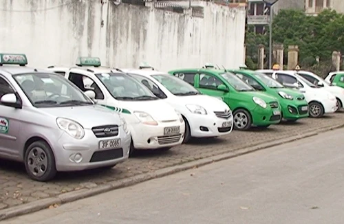 Xử lý nhiều xe taxi dừng đỗ trái phép