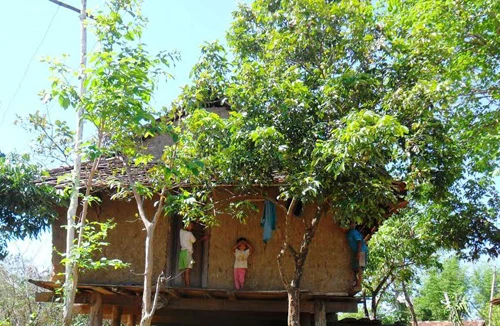 Anh em họ lấy nhau vì sợ mất tài sản cho người khác