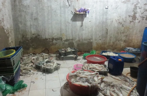 Phù phép hải sản “bẩn” ngay tại chợ