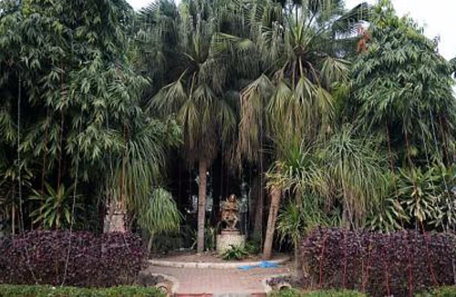 Bắt nghi phạm hiếp dâm tập thể nữ du khách 51 tuổi