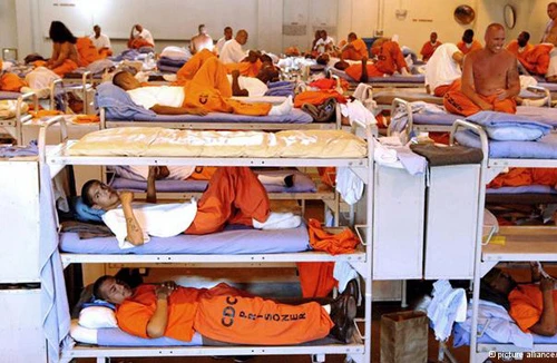 Tàn đời sau song sắt vì một miếng pizza