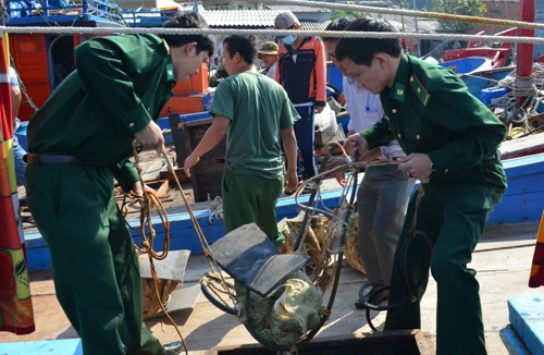 Bị phạt vì vận chuyển trai quý hiếm