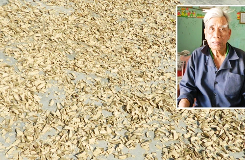 "Thần y" và phương thuốc từ thảo mộc cứu chữa dân nghèo