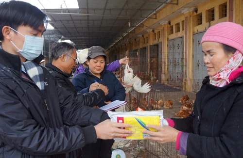 Sẵn sàng nâng cấp độ ứng phó với cúm A/H7N9