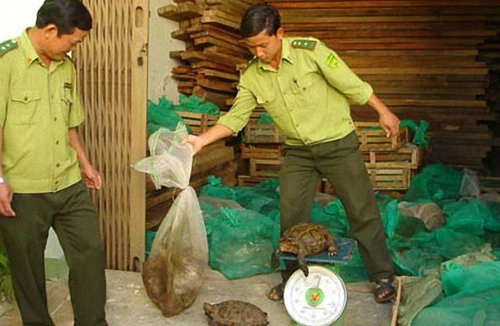 Chỉ còn 11 ngành, nghề bị cấm đầu tư, kinh doanh