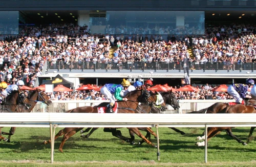 Bao giờ ngựa mới được phi?