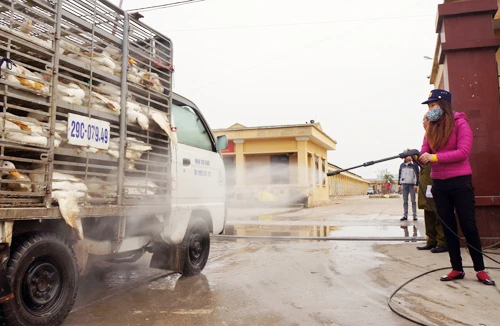 Làm tốt công tác phòng dịch