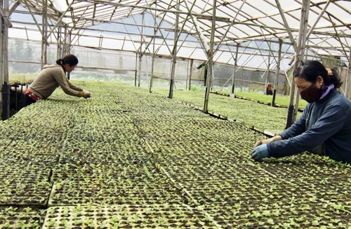 Tạo đất sống cho nông sản an toàn