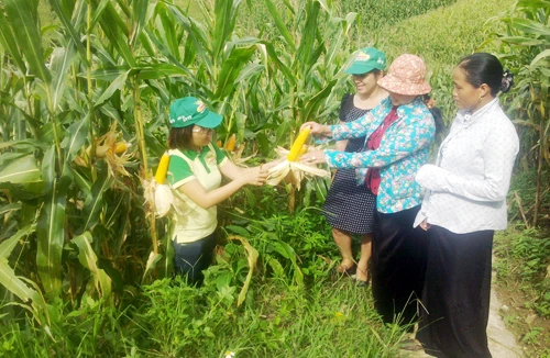 Việt Nam sẽ có thực phẩm biến đổi gene