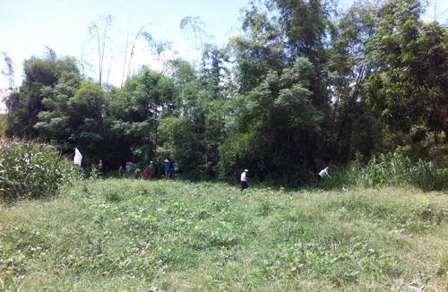 Quảng Ngãi: Phát hiện xác chết trên sông