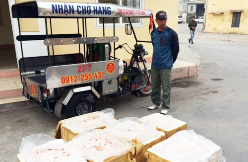 Chặn 800kg nội tạng bốc mùi