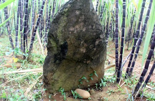 Bí ẩn ngôi mộ đá chưa được giải mã ở Mường Thàng và cổ vật là 12 bông hoa bằng vàng