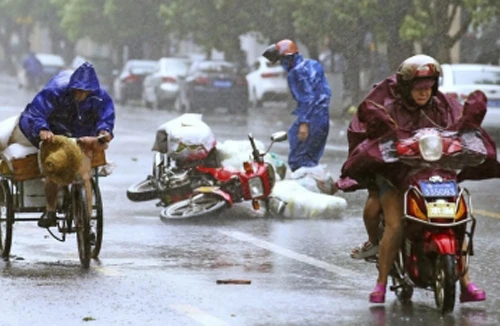 Bão Kalmaegi làm tê liệt Hồng Kông, 29 người bị thương