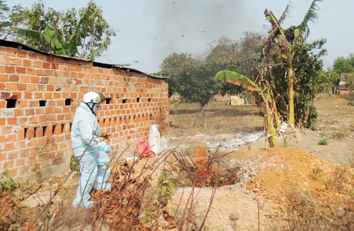 Cúm gia cầm H5N1 lan rộng ra 10 tỉnh