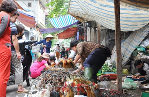 Mối nguy chủng virus độc lực cao 