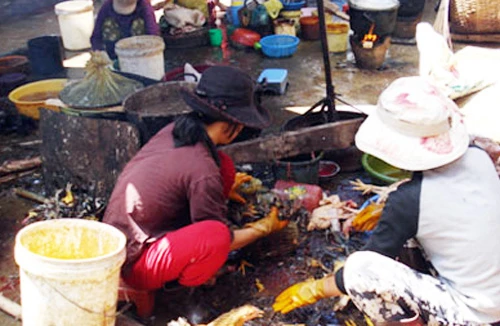 Ngồi… vặt lông cũng thu bạc triệu