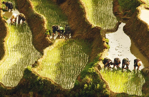 “Bức họa vùng cao” đạt giải Nhất