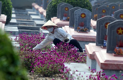 Bất tử trong lòng đất Mẹ