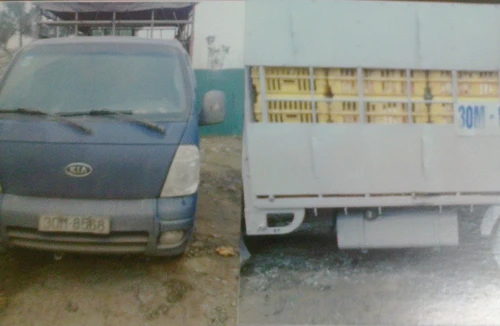 Bắt xe tải vận chuyển gần 1 tấn gà lậu 