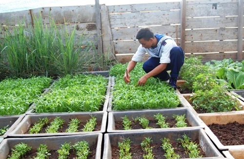 Lính đảo Trường Sa tăng gia cải thiện