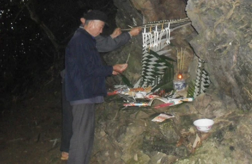 Bí ẩn khu rừng Cấm