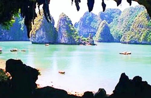 Di sản thế giới ở Việt Nam chưa được quản lý tốt