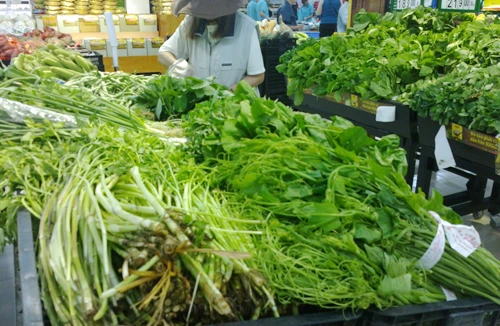 Mượn danh rau an toàn lừa người tiêu dùng