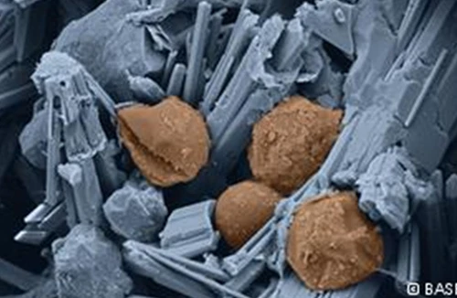 Những vật liệu xây dựng độc đáo