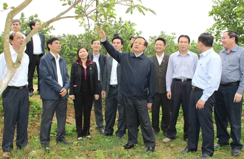 Thay thế ngay cán bộ cản trở nông thôn mới