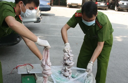 500kg tràng lợn “thối” nhập lậu từ Trung Quốc