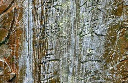 Đề nghị kiểm điểm việc “nhiệt tình thái quá”