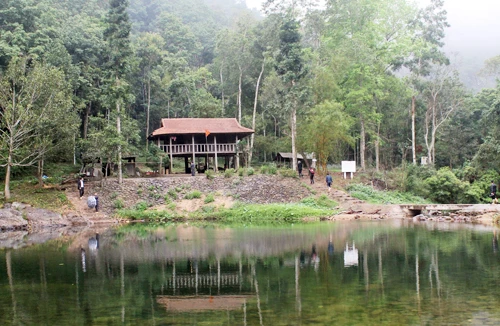 Ngủ giữa rừng nguyên sinh