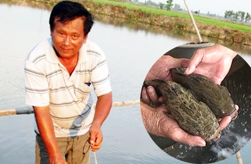 Gã tú ông làng và giấc mơ lương thiện