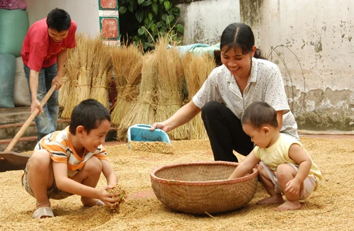 Vợ chồng bỗng thành... người dưng