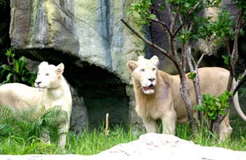 Khám phá đại ngàn bí ẩn