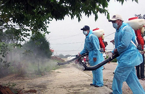 Lo ngại sốt xuất huyết bùng phát 