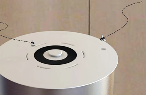 Thùng rác bắt ruồi