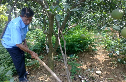 Lão nông 3 lần hiến đất làm đường nông thôn