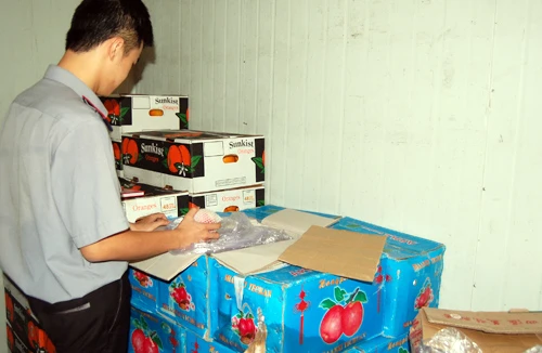 Hàng trăm tấn hoa quả Trung Quốc nhiễm thuốc vượt quy định
