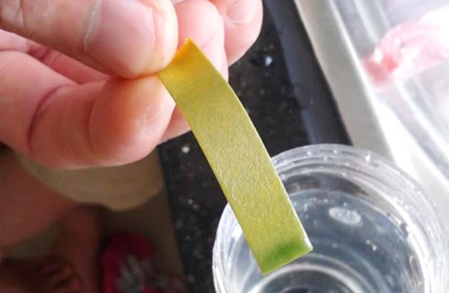 Thấp thỏm như… sống trong khu đô thị mới