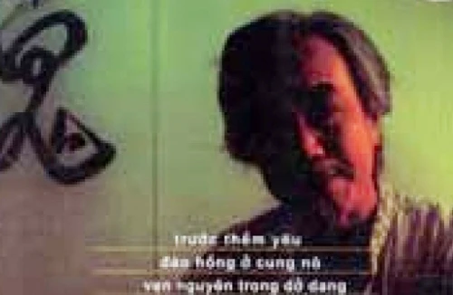 Hòa Vang - Hạt bụi người bay ngược