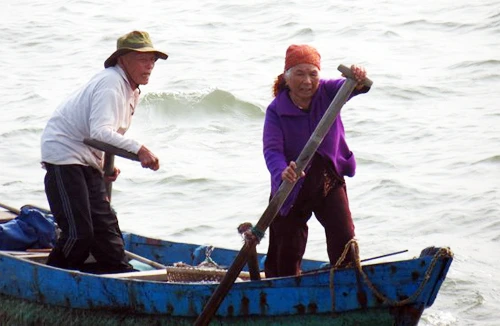 Những lão ngư vững vàng trước sóng gió