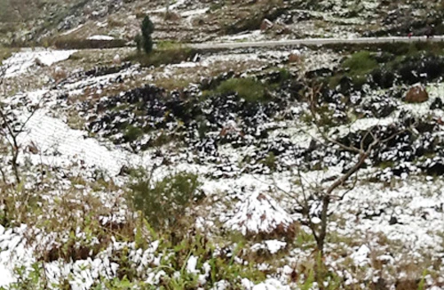 Mèo Vạc tuyết rơi trắng