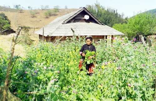 Khám phá bản Mông Hua Tạt 