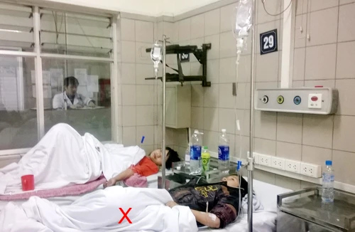 Thêm 5 ca nguy kịch vì nấm độc