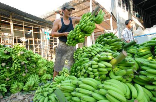 Doanh nghiệp có phần lo lắng